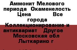 Аммонит Мелового периода. Окаменелость. › Цена ­ 2 800 - Все города Коллекционирование и антиквариат » Другое   . Московская обл.,Лыткарино г.